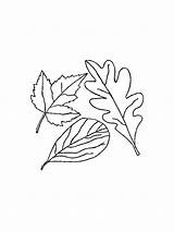 Bladeren Blaadjes Kleurplaten Blatter Feuilles Coloriage Leaves Foglie Animaatjes Seite Gifgratis sketch template