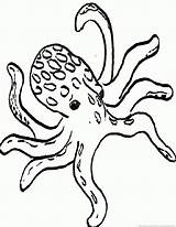 Octopus Coloring Pages Zoom Print sketch template