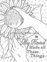 Coloring Pages Affirmations Pregnancy Birth Choose Board sketch template