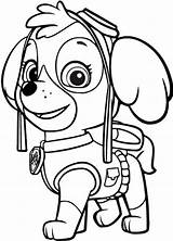 Paw Patrol Skye Coloring Pages Colouring Pngkey Transparent Automatically Start Background sketch template