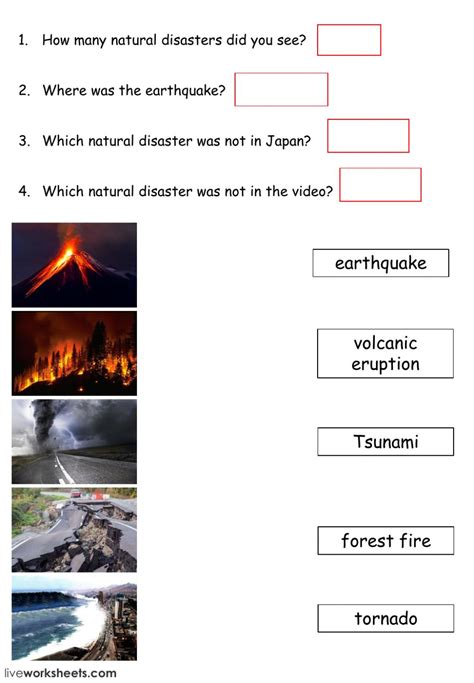 natural disaster interactive worksheet