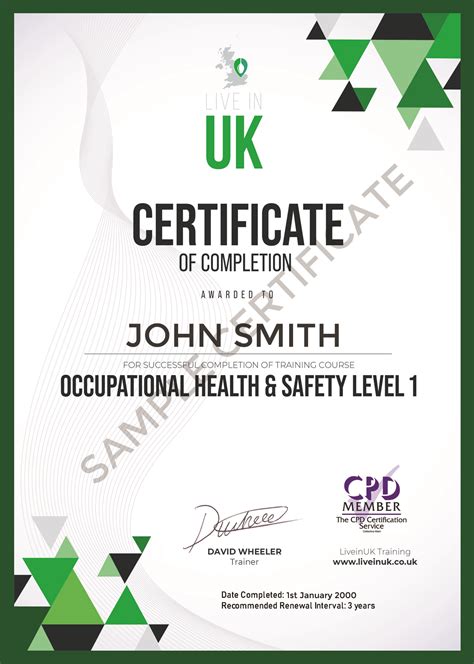 occupational health safety level    uk