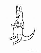 Kangaroo Joey Colormegood Animals sketch template