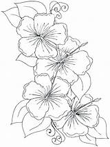 Orchid Coloring Pages Flower Orchids Printable Color Getdrawings Print Getcolorings sketch template