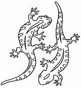Lagartijas Salamander Lagartos Animales sketch template