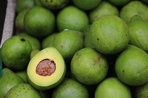 Resep Alpukat Kocok Durian Bisnis Minuman Kekinian