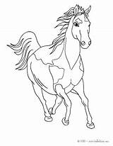 Coloring Pages Horse Quarter Animal Farm Sheets Print Color Racing Sara Bella Books Horses Realistic Book Getcolorings Hellokids Adult Colouring sketch template