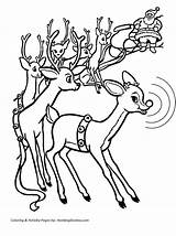 Rudolph Rentier Nosed Colorear Renos Navidad Rudolf Malvorlage Ausmalbild Claus Sleigh Renas Papai Reindeers sketch template