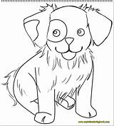 Coloring Pages Animal Quality High Seiten Qualität Farbe Tier Farben Hohe sketch template