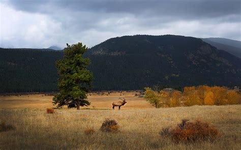 Pin By Cover Conceal On Good Pics State Of Colorado Natural