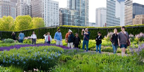 chicago gardens  group visits choose chicago