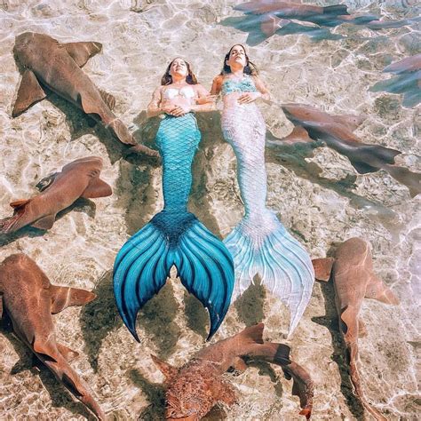 likes  comments mermaid elite atmermaidelite  instagram
