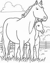 Coloring Pages Horses Baby Popular Foals sketch template