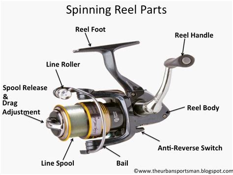 urban sportsman understanding   types  fishing reels