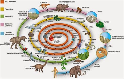 EvoluciÓn De La Vida En La Tierra En Millones De Años Timeline Tim