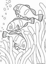 Coloring Pages Sea Ocean Creatures Animal Fish sketch template