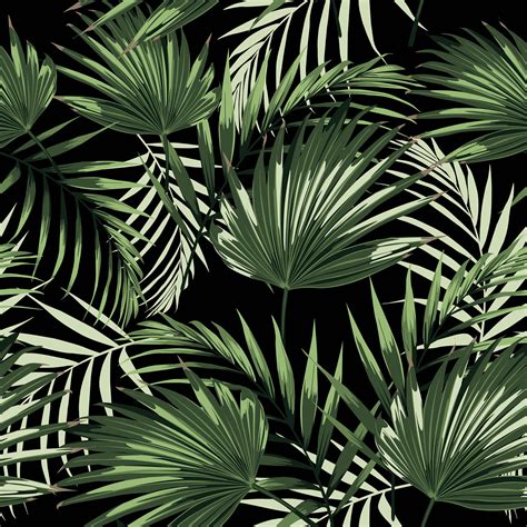 tropical palm leaves  behance