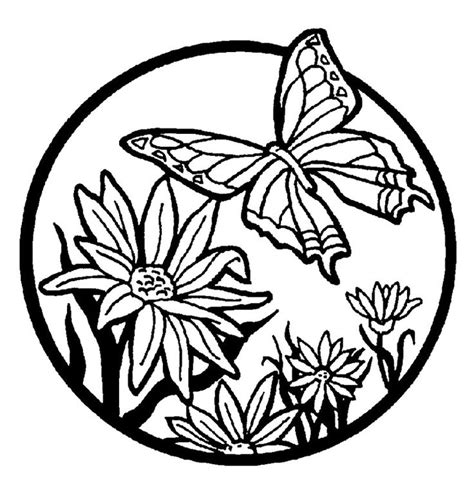 images  coloring pages butterflies  pinterest dovers