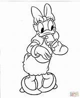 Duck Donald Coloring Pages Daisy Girlfriend Ducks Oregon Daffy Printable Sarah Mouse Getcolorings Frog Mickey Popular Color Library Coloringhome sketch template