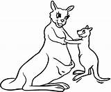 Kangaroo Kangaroos Kolorowanka Canguri Canguru Canguro Saltando Mamma Supercoloring Mamãe Tudodesenhos Stampare Mamydzieci Disegnare Printmania sketch template