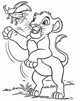 Lion King Coloring Pages Disney Print Printable Cartoon Book Family sketch template