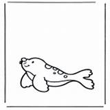 Animals Coloring Pages Water Funnycoloring Category sketch template