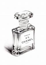 Chanel Realistic N5 Flacon Tekenen No5 Stilleven Bottles Shading Frasco Crayon Voorwerpen Graphite sketch template