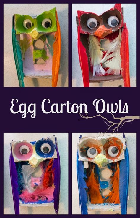 egg carton owls life  moore babies