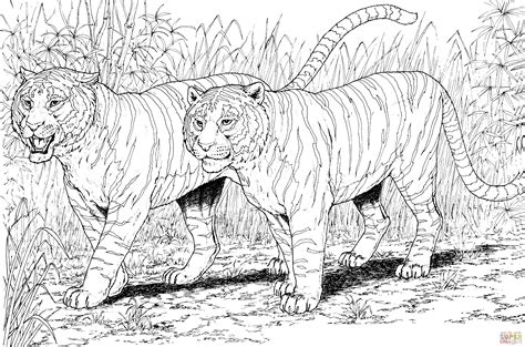 ausmalbild zwei tiger ausmalbilder kostenlos zum ausdrucken