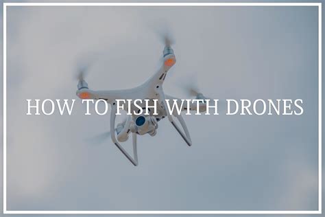 fish  drones outstanding drone