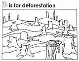 Deforestation Birthday Happy Allison Taylor May Click sketch template