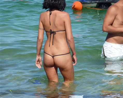 Asses From Southern Italy Spain And Greece August 2018