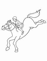 Jumping Horse Hurdles Coloring Pages sketch template