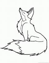 Foxes Foxs Howling Raposas Coloringhome Pintar sketch template