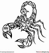 Scorpion Tattoo Tribal Scorpio Tattoos Drawing Scorpions Outline Designs Sketches Cool Meaning Symbol Drawings Findtattoodesign Escorpion Getdrawings Quotes Small Skull sketch template