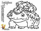 Venusaur Victreebel Mewarnai Bulbasaur Bubakids Tudodesenhos Pokémon Coloringhome sketch template