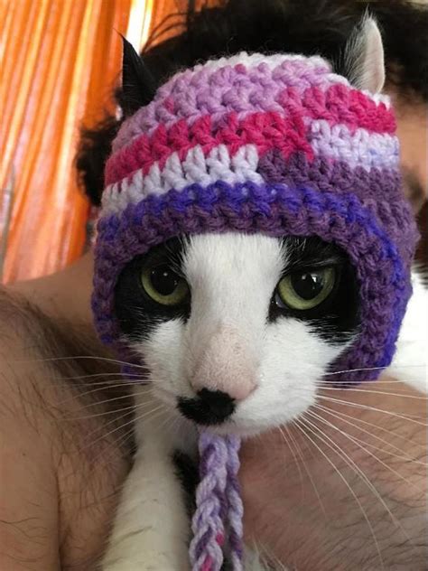 crochet hats  cats  crochet patterns  cat hats craftsy