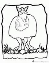 Llama Woojr sketch template