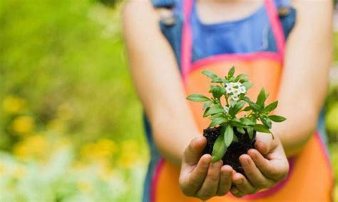 Cinco Beneficios De La Jardinería Para La Salud – Nexofin