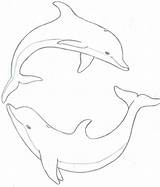 Dolphin Drawing Drawings Coloring Dolphins Clipart Pages Jumping Easy Line Cliparts Draw Step Pencil Cartoon Getdrawings Clip Adults Painting Ecco sketch template