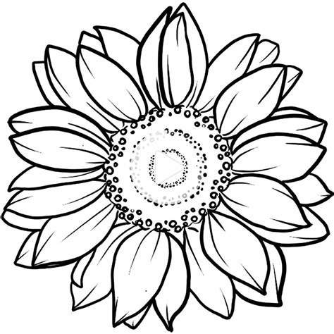 printable stencil sunflower outline