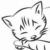 Sleeping Kitten Coloring Pages Surfnetkids sketch template