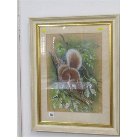 Marjorie Blamey Signed Watercolour Red Squirrel