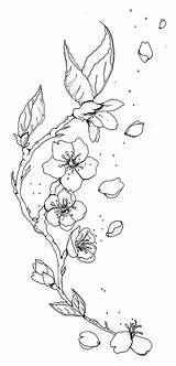 Blossom Cherry Tattoo Drawing Outline Tree Flower Sketch Drawings Blossoms Branch Tattoos Outlines Chinese Step Newdesign Realistic Getdrawings Sketches Embroidery sketch template