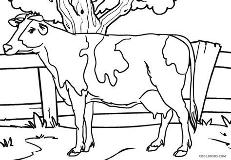 cows coloring pages learny kids