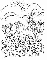 Ausmalbilder Coloriage Wald Blumen Lichtung Raskrasil sketch template