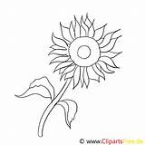 Sonnenblume Malvorlage Sonnenblumen Ausmalbilder Fensterbilder Inspirierend sketch template