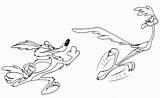 Coyote Wile Pages Coloring Looney Tunes Cartoon Runner Road Template sketch template