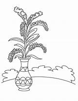 Goldenrod Coloring Vase Drawing Getdrawings Pages sketch template