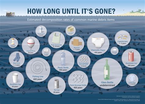 infographic here s how long your trash will be around